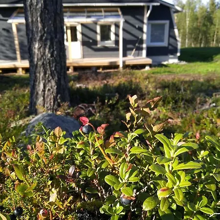 Villa Aurora Jokela (Lapland)