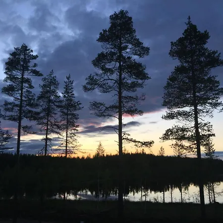 Aurora * Jokela (Lapland)