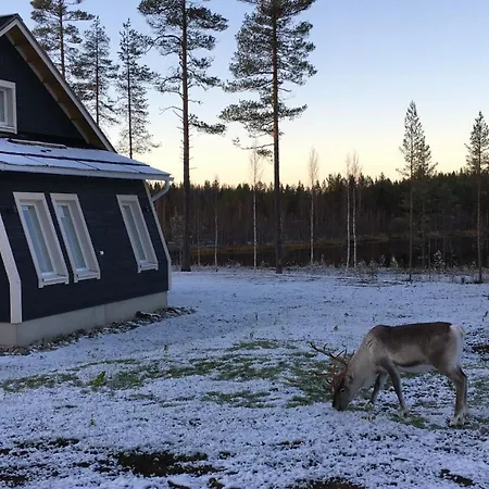 Aurora *